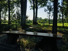 -东郊湿地公园