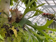 -国家植物园南园