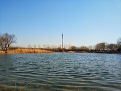 -永定河休闲森林公园