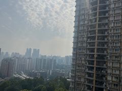 -陈记柳州螺蛳粉(大坪店)