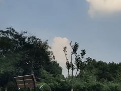 -月湖风景区
