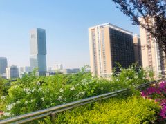 -嘉定宝龙广场