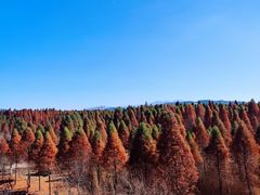 -捞渔河湿地公园