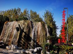 -合肥滨湖国家森林公园