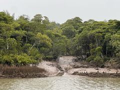 -东寨港红树林旅游区
