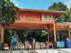 -海口火山口国家地质公园