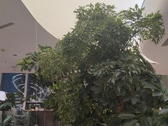 -枕水江南(铁西万象汇店)
