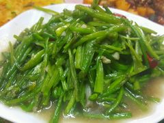 水性杨花-泸沽肴(泸沽湖大洛水村农村信用社旁店)