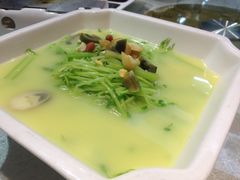 上汤豆苗-京味民福烤鸭店(建设四马路店)