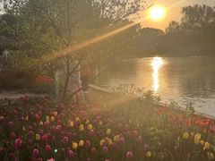 -石家庄市植物园