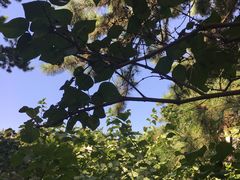 -东北大学(南湖校区)