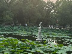 -北陵公园