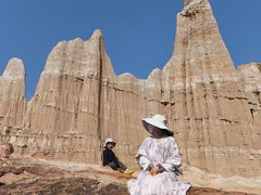 -元谋土林景区(物茂土林)