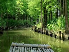 -尚湖风景区