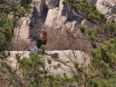 -崂山巨峰游览区