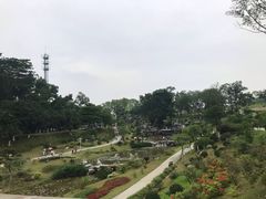 -东莞植物园