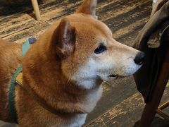 -三目仓咖啡(贤南路店)