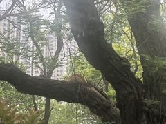 -贮水山儿童公园
