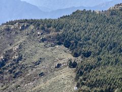 -白草畔自然风景区