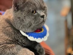 -瑞派名望24h动物医院异宠专科·猫专科·骨科·重症监护分院