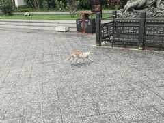 -宛园