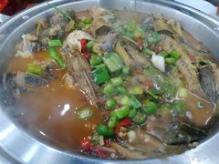 -全乐鱼馆·淳牌有机鱼直营店