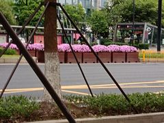 -盈丰路(地铁站)