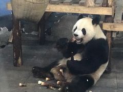 -无锡动物园·太湖欢乐园