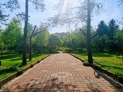 -黑龙江省森林植物园