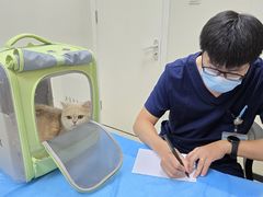 -美联众合动物医院·24h京西诊疗中心