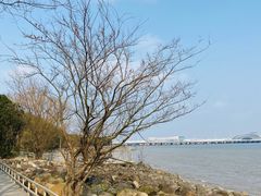 -上海吴淞炮台湾国家湿地公园