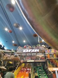 -卡通尼·Safari非洲探索乐园·生日会(金桥国际商业广场店)