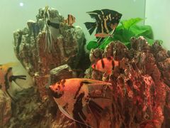 -多彩贵州城极地海洋世界