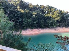 -广州市流溪河国家森林公园