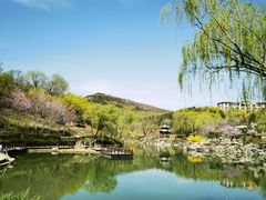 -北宫国家森林公园