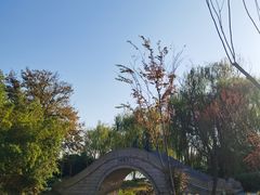 -金鸡湖高尔夫会员专属俱乐部