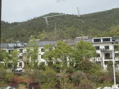 -芦茨金富饭庄·25年老字号·专做稻草鸡
