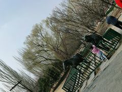 -元大都城垣遗址公园