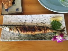 -天正河鲀·河豚亭(大连店)