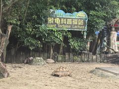 -广州长隆飞鸟乐园