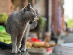 -好兄弟郭巨海鲜(天一阁店)