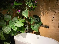 -悦哉·派对·草坪婚礼·围炉煮茶(三圣乡店)