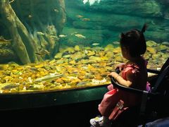 -江和美海洋公园