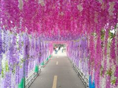 -千龙湖生态旅游度假区