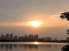 -金银湖国家城市湿地公园