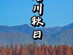 -塔川景区
