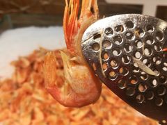 北极虾-汉巴味德(大悦城店)