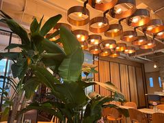 -the rug 飞毯 (朝阳公园店)