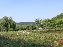 -龙寺生态园