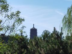 -永定河休闲森林公园